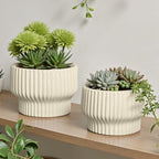OXART Ceramic Plant Pots, 9.4+8+6 Inch Pots for Plants with Drainage Hole, Modern Round Flower Pot for Indoor Plants, Decorative Ceramic Planter for Home Garden Patio Office, Yellow - Image 2