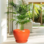Ceramicfor Indoor Plant Pot, 8 Inch Ceramic Plant Pot, Orange - Image 4