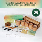5 Pack Bonsai Tree Kit with Complete Tools, 5X Unique Seeds Bonzai Tree Live Kits, Complete Indoor Bonsai Starter Kit with Wooden Box, Perfect Christmas Garden Gift for Mom, Men, Women, Plant Lover - Image 4