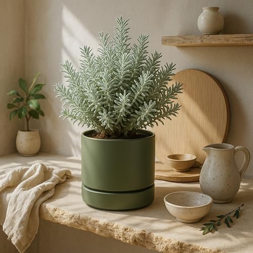 Phoenix Vine 6 Inch Planter Pot with Drainage Hole & Saucer, Deep Water Catch Tray, Straight Cylindrical Round Pot for Plants, Olive, Pack of 3, 23-D-S-3 - Image 5