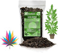 Gardenera Premium Happy Plant Potting Soil Mix - Optimal Nutrient-Rich Blend for Thriving and HIGH-Yield Herbal Plants - 5 Quart by Gardenera