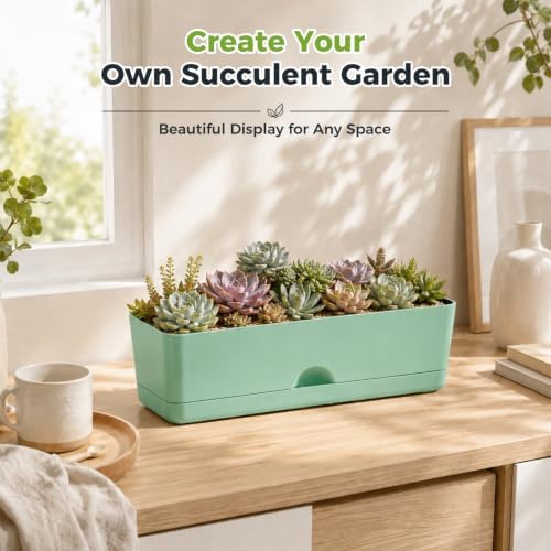 6 Pack Rectangle Planter 16x4.4 Inch Window Boxes Planters Rectangular Window Sill Planters Indoor Self Watering Plant Pots with Drainage Holes and Saucers Succulent Herb Flower Pots, Green - Image 4