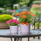 Eightpot 10 Inch Planter, Ceramic Plant Pots for Indoor Outdoor, Round Pot for Plants with Drainage Hole and Sacuer, Boho Plant Pot, Decorative Flower Pots, Living Room Decor, Purple - Image 3