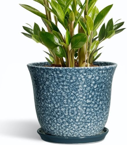 10 Inch Plant Pot, Ceramic Planter for Indoor Plants, Blue by SUNPOTFOR