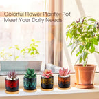 12 Pcs Succulent Pots 2.5 Inch Mini Ceramic Succulent Garden Flower Pots Planters with Drainage and Bamboo Tray for Indoor Garden Plants Planters Colorful Flower Pot(Cylindrical,2.3 Inch H) - Image 3