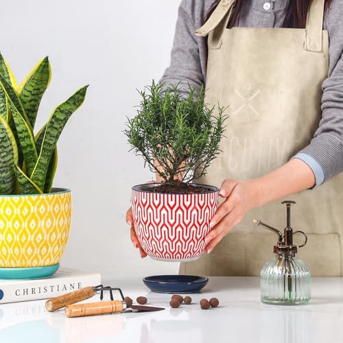 Selamica Ceramic Plant Pots, 4.6+5.6+6.5 Inch Planters with Drainage Holes & Saucer, Flower Pots for Indoor Plants, Home Decor, Set of 3, Assorted Colors - Image 6