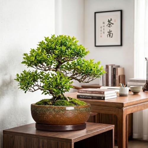 Bonsai Planter, 13 Inch Ceramic Succulent Pots, Speckle Brown - Image 3