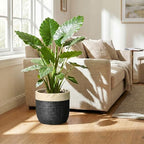 9.8 Inch Planter, Ceramic Pots for Plants, Round Flower Pots, Black - Image 4