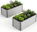 2 Pack Galvanized Raised Garden Bed Kit, Large Rectangular Metal Oval Raised Garden Beds, Outdoor Deep Root Box Planter for Gardening, Vegetables, Flowers, Herbs (4x2x1.5FT, Silver) by Unknown