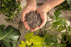 LECHUZA-PON Plant Substrate, 18 Liter Bag of Potting Mix for Indoor Gardening - Image 4