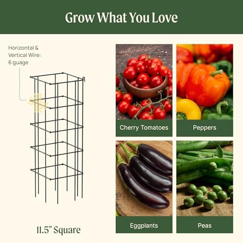 Vego Garden 4 Pack 11.5" Square Tomato Cage for Garden & Pots, Rust-Resistant Tomato Stakes Heavy Gauge Plant Cage Trellis Support for Climbing Vegetables Plants - Image 3