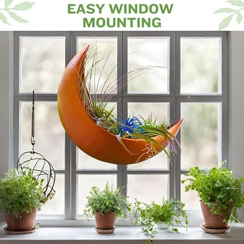 Wall Planter - Window Planter - Hanging Moon Planter - Boho Hanging Planters for Indoor Plants, Succulents, Air Plant, Cactus, Faux, Artificial Plants -Witchy Gifts for Women, Birthdays,Plant Lovers - Image 2