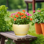 Ceramic Planter 10 Inch, Ceramic Pots for Plants, Textured Yellow - Image 4