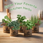 Indoor Herb Garden Starter Kit, Unique Gifts 5 Herb Garden Planter Indoor Kit with Wooden Box Including Basil, Cilantro, Thyme, Parsley, Mint, Fresh Herb Garden, Gardening Gifts for Women - Image 4