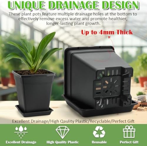 6 inch Plant Pots, 10 Pack Flower Pots Outdoor Indoor, Square Plastic Planter with Drainage Holes and Saucers, 0.5 Gallon Planter Pots for Plants Deep Capacity Garden Pot Container with Tray - Image 3