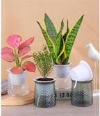 HASMI Plant pots Planter Self-Absorbing Transparent Gallon Hydroponic Double Layer Set of Pots for Lazy People Special Utensils Pots Flower Pots (Color : Gray 1pc) - Image 4