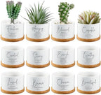 Fumete 12 Sets Bible Verse Succulent Pots 3 x 2 in, Affirmation Series by Fumete