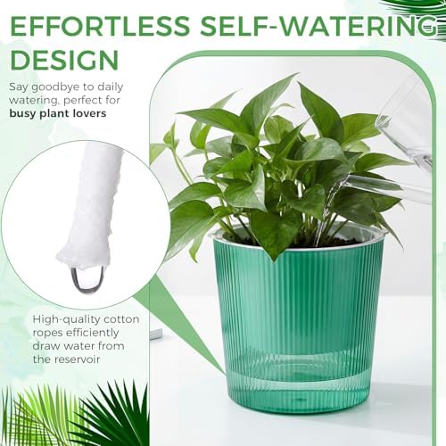 6 Pack Self Watering Pots for Indoor Plants Plastic Vertical Ribbed Semi Transparent Planters, Dual Layer Reservoir for Indoor Succulents Herbs Pothos(Green, White,6.5 x 5.9 Inch) - Image 4