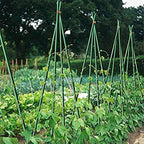 Growsun 6ft 50 Pack Tomato Stakes Plant Stake Supports Garden Fences Trellis Metal Plastic Coated Plant Cage Supports Climbing - Image 5