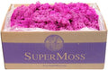 SuperMoss (23099) Reindeer Moss Preserved Box, 3 lb, Pink by SuperMoss