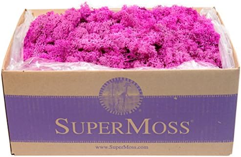 SuperMoss (23099) Reindeer Moss Preserved Box, 3 lb, Pink by SuperMoss