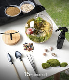 LuckyRunes DIY Glass Terrarium Kit with Live Moss & Mini Tools - Image 2