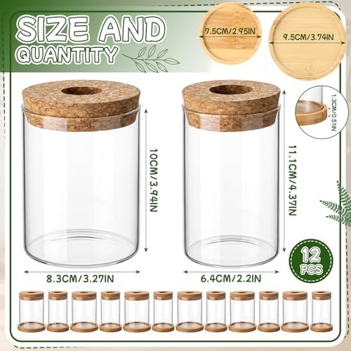 Hushee 12 Pcs Plants Propagation Stations Glass Propagation Jars with Hole Lid Hydroponic Terrarium Vases Gifts for Plant Lovers Home Indoor Office Tabletop Decoration, 2 Sizes - Image 2