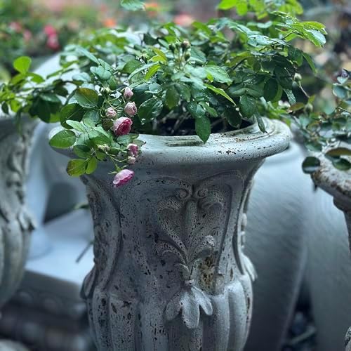VISIBLE Vintage European Large Garden Urn Planter, Cement and Fiber Flower Pot, Decorative, 24.8 Inche Tall, Make Rust Finished, Wrap Foam Safely Delivered from Local Warehouse (Vintage, Large) - Image 5