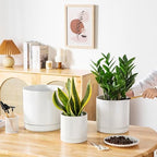 vancasso Ceramic Planters, Plant Pots for Indoor Plants, 6.25+8.25+10.25 Inch Ceramic Pots for Plants, Flower Pots with Drainage Holes, Planters Pot for Indoor House Plant, Set of 3, White - Image 5