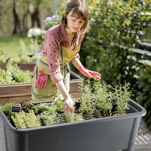 Yungyan 2 Pcs Self Watering Raised Garden Bed with Water Level Indicator, 13.2 Gallon Elevated Plastic Planter Box for Vegetables, Herbs, Flowers, Outdoor, Indoor(Gray,2 Pcs) - Image 6