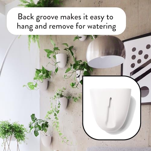 Make Good PlantPod Luxe - Self-Watering Wall Planters (Set of 6) - Easy to Water and Install - Lightweight - Design Your Own Vertical Garden - Wall Planters for Indoor Plants - Image 4