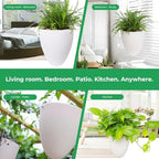 Self-Watering Hanging Planter Pot, Indoor Outdoor Plants, 6 Inch, 3 Pack - Image 5