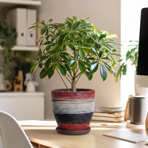 6 Inch Ceraimc Planters, Ceraimc Plant Pots Indoor, Rainbow - Image 5