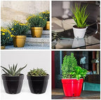 Santino ASTI 10.6 Inch Self Watering Planters Shade/White (Set of 3) for Indoor Plants - Premium Quality Modern Plastic Pot w/Water Level Indicator for All House Plants, African Violets and Dahlias - Image 4