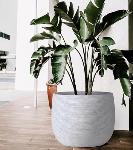 Olly & Rose Extra Large Plant Pot Patterned 15.5 Inch - Barcelona Off White Garden Planter - XL Flower Pot - 40cm - Image 3