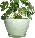 Ceramic Planter, 8 Inch Plant Pot, Crackle Light Green by Thirtypot