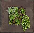 Modern Home Living Wall Galvanized Steel/Zinc Succulent Planter, Wall Mounted Garden Pocket Planter (4 Pocket, Rust Zinc) by Vandue
