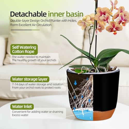 QCQHDU 7.2Inch Orchid Pots with Holes for Repotting, Double-Layer Plastic Self Watering Flower Pots for Indoor Plants with Drainage Holes, Clear Orchid Pot Match Decorative Orchid Container, 3 Packs - Image 4