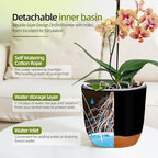 QCQHDU 7.2Inch Orchid Pots with Holes for Repotting, Double-Layer Plastic Self Watering Flower Pots for Indoor Plants with Drainage Holes, Clear Orchid Pot Match Decorative Orchid Container, 5 Packs - Image 4