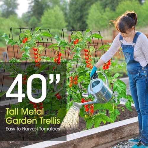 RIFNY Cucumber Trellis for Raised Bed, Garden Trellis 16.5 x 40 Inch, Black - Image 3