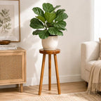 Teak Wood Plant Stand, 30" Round Side Table, Wood Accent Table - Image 3