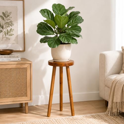 Teak Wood Plant Stand, 30" Round Side Table, Wood Accent Table - Image 3