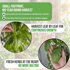 Hydroponic Tower Planter for 18 Plants - Vertical Indoor System - Image 5
