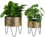 MyGift Modern Brass Metal Plant Containers with Matte Black Stands, 2 Pc - Image 5