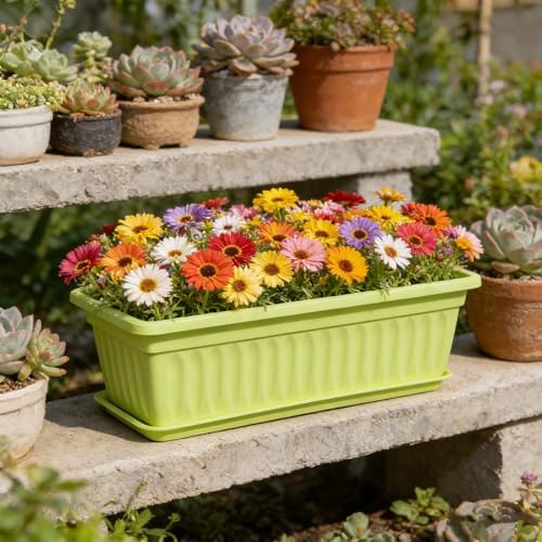 17.32" Window Boxes Planter Thickened Rectangular Pots with Saucers Drainage Holes Vegetable Planter Windowsill Planters Box for Indoor and Outdoor Gardening (Pink, One Size) - Image 4