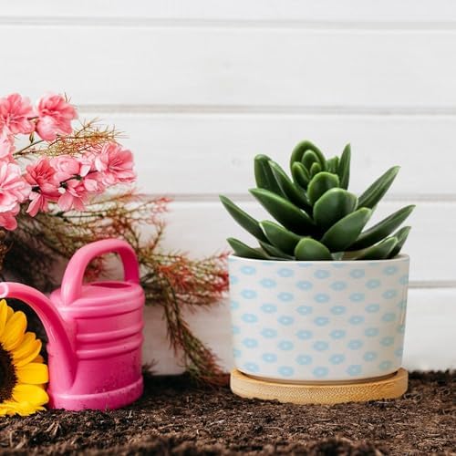 Timur in Blue Background Ceramic Planters Geometric Modern Planters for Outdoor Plants with Drainage Holes and Saucers Pot for Pots Outdoor Indoor Plants - Image 5