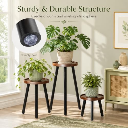 FRIENDISU 3 Pcs Wood Plant Stands Indoor with Raised Design - Image 2
