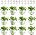NUPTIO Glass Wall Hanging Planters: Clear Terrarium for Living Room, 12 Pcs by Nuptio