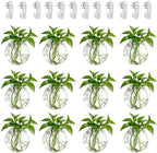 NUPTIO Glass Wall Hanging Planters: Clear Terrarium for Living Room, 12 Pcs by Nuptio