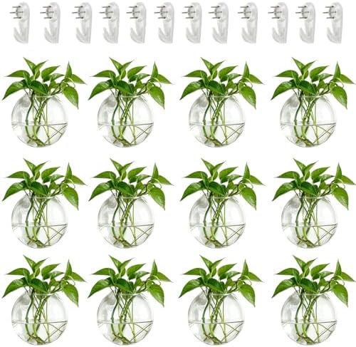 NUPTIO Glass Wall Hanging Planters: Clear Terrarium for Living Room, 12 Pcs by Nuptio